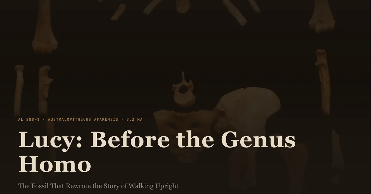 The Fossil That Rewrote the Story of Walking Upright
