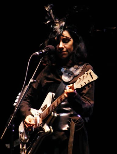 PJ Harvey, 2017