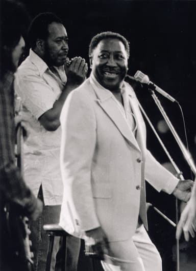 Muddy Waters performing