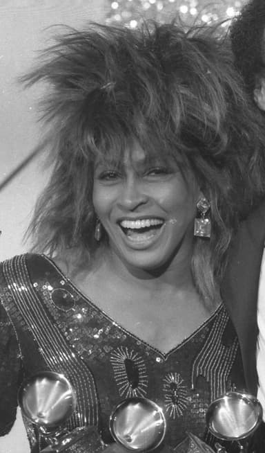 Tina Turner, 1985