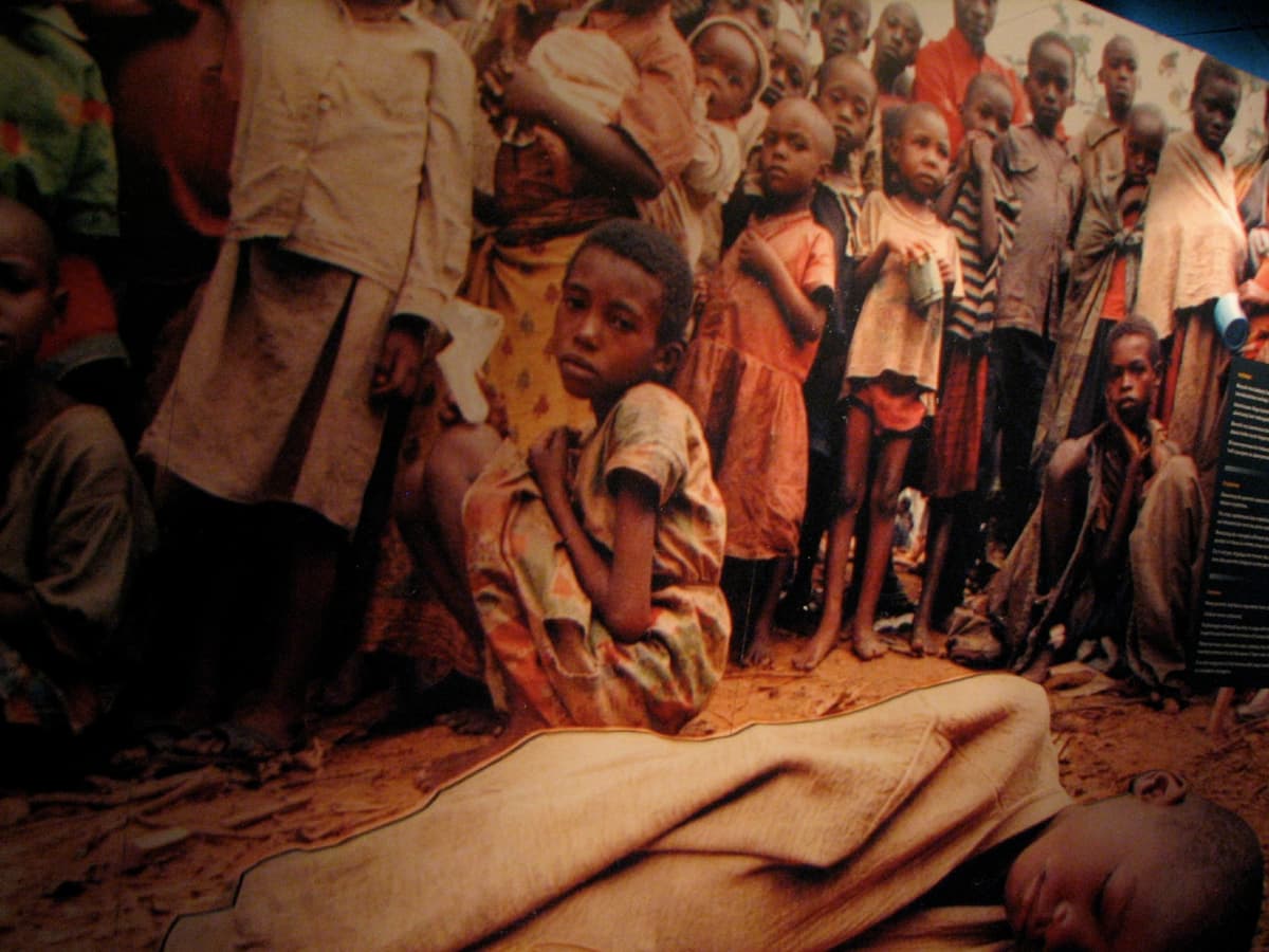 Child survivors of the Tutsi genocide