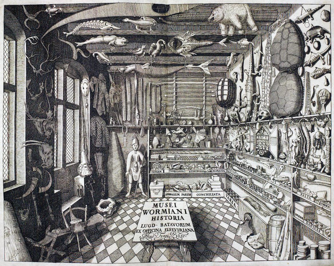 Musei Wormiani Historia - 17th century cabinet of curiosities illustration by Ole Worm