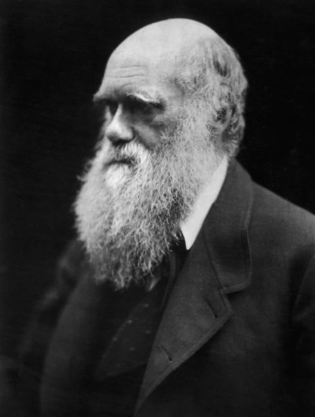 Charles Darwin portrait photograph by Julia Margaret Cameron (1868)